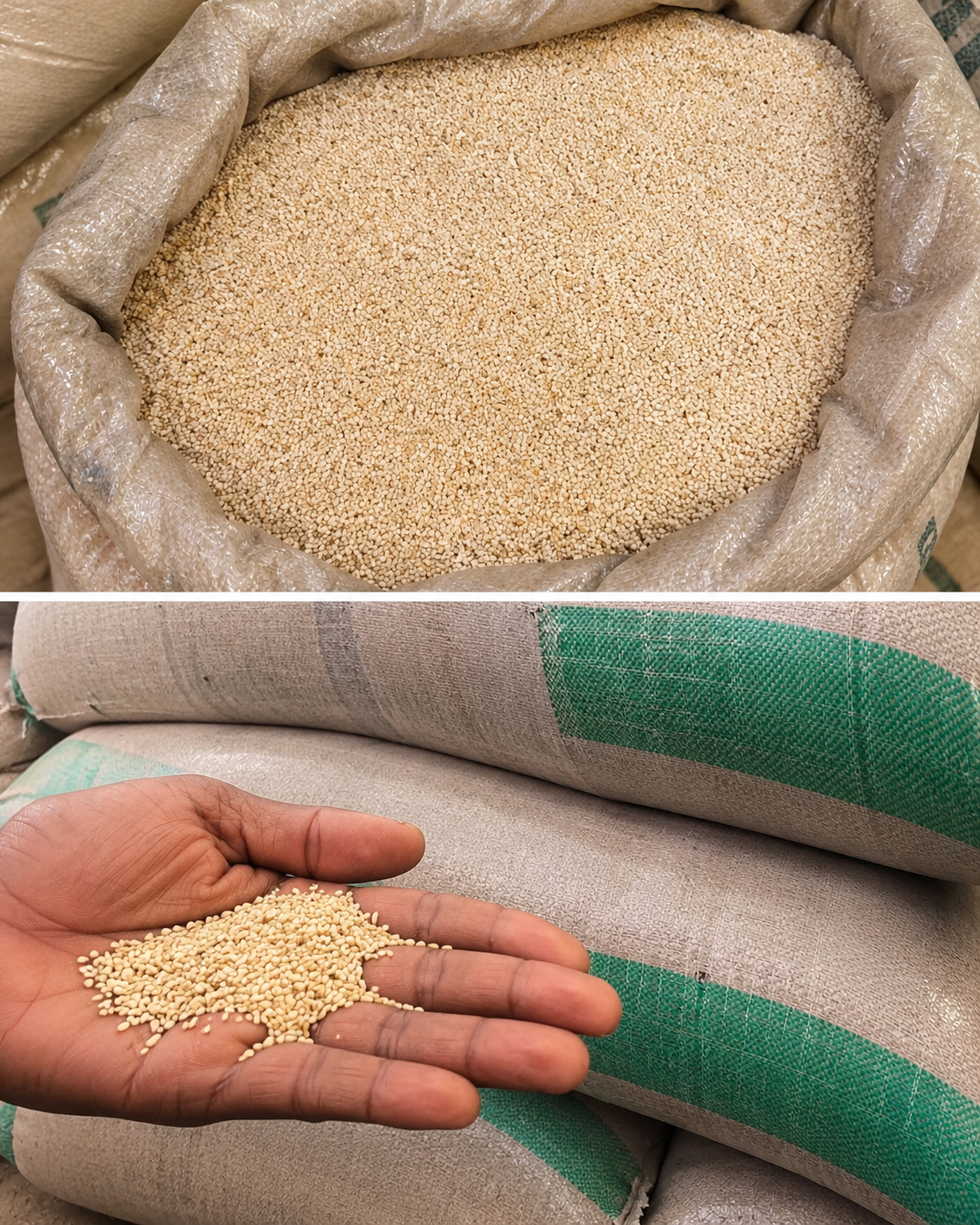 Sesame Seeds (Simsim), sourced from Uganda, South Sudan, Ethiopia